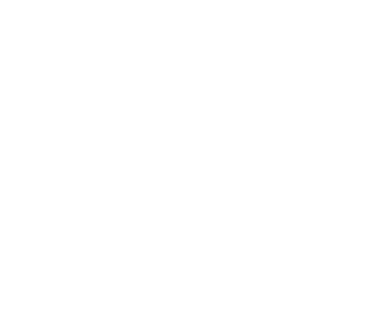 Carrefour White Logo