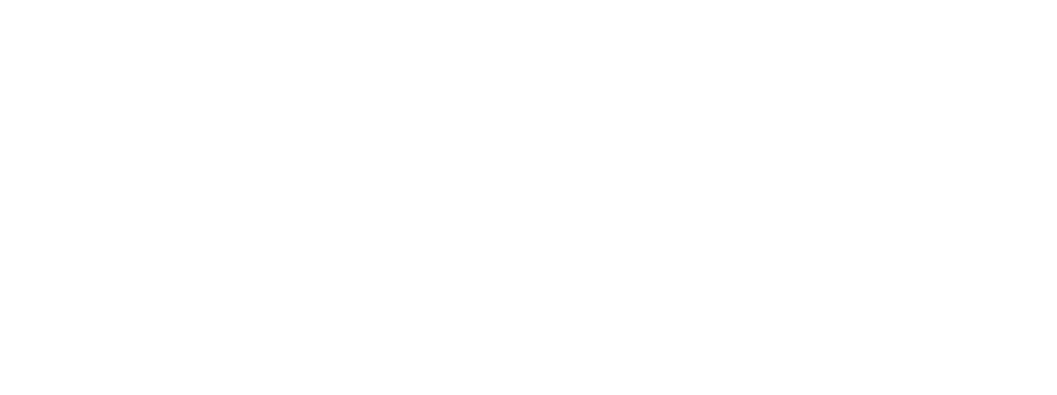 Everteam-logo-blanc