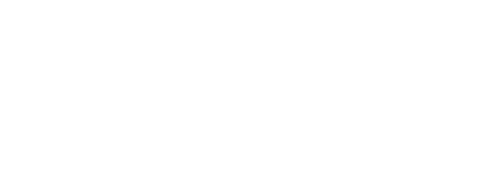 Spottt-logo-blanc